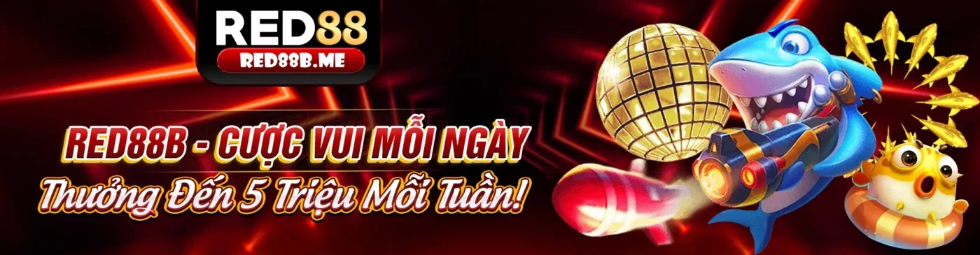 Hình ảnh chính giới thiệu Bongvip chính thức